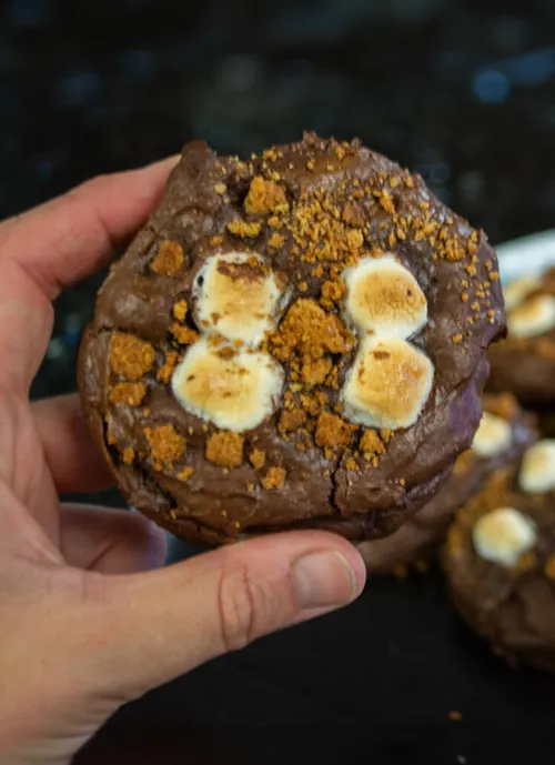Hand holding up a S'mores Brownie Cookie. More cookies are shown on a plate in the background.