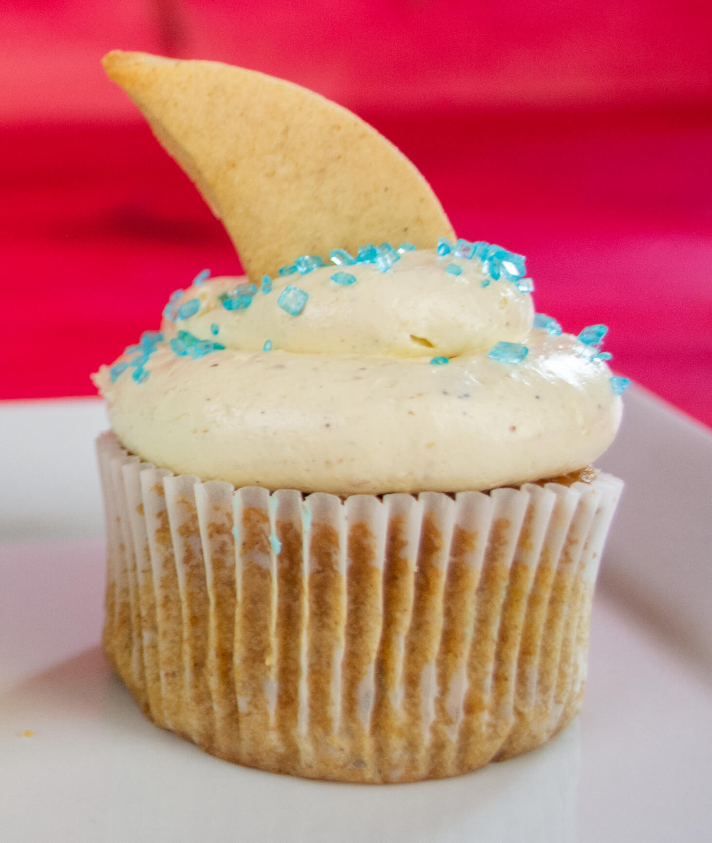 S'mores Cupcake with shark fin-shaped graham cracker cookie topper