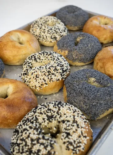 A variety of sourdough bagels on a baking tray.