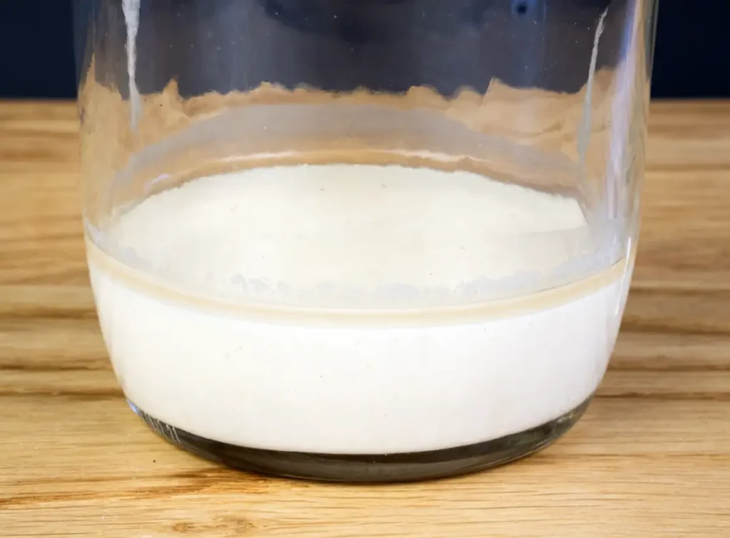 A thin layer of hooch on top of some neglected sourdough starter.