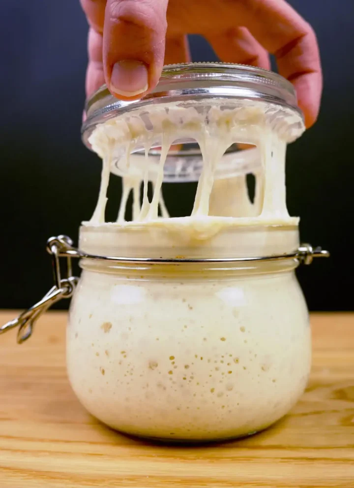 Lifting the lid off a jar of sourdough starter, stretching strands of starter between the jar and the lid.