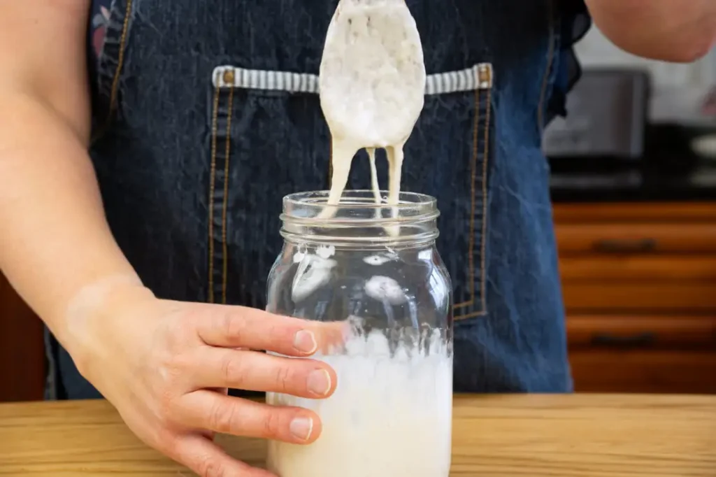 Pulling a wooden spoon out of a jar of sourdough starter. Strands of sourdough hang off of the bottom of the spoon.