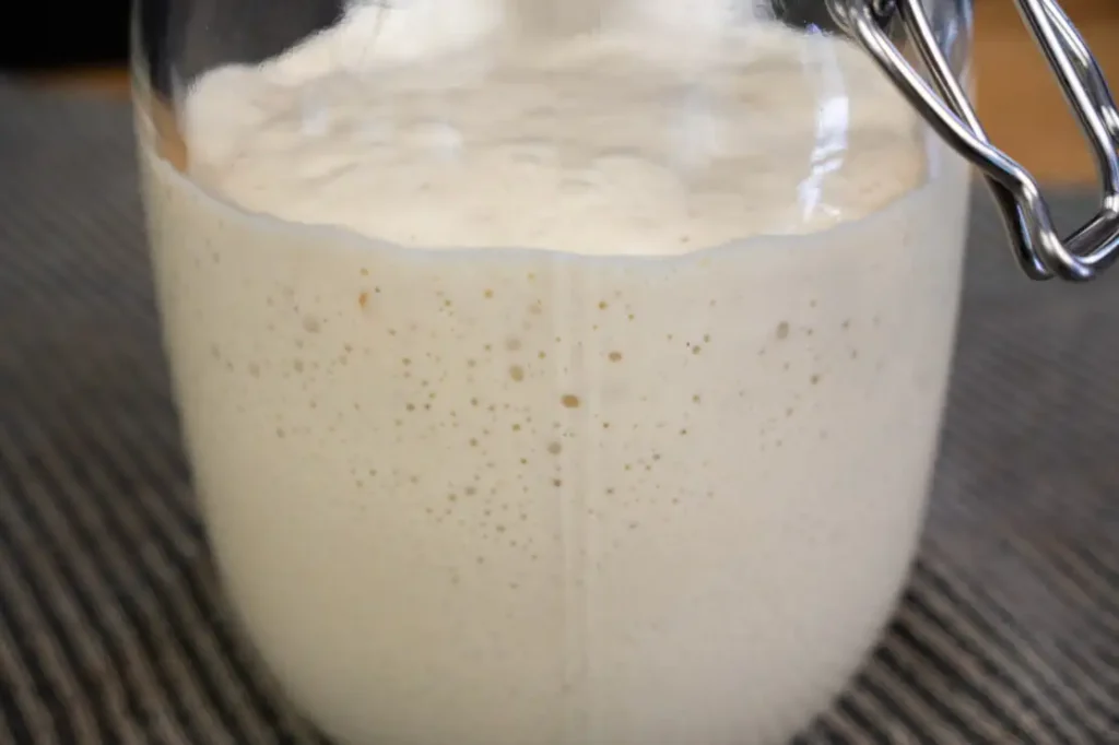 Close up of bubbly sourdough starter in a glass jar.