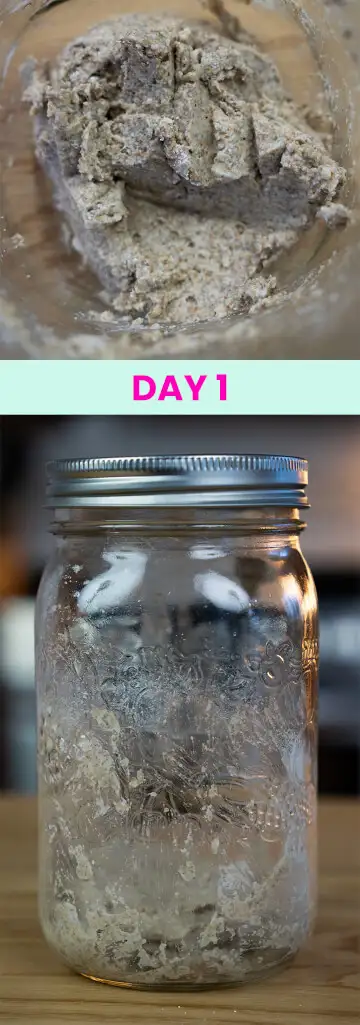 What my sourdough starter looked like on Day 1.
