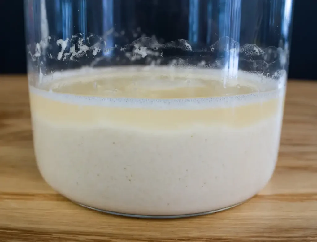 A sourdough starter with water separation.