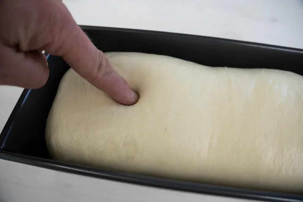 Fully-proofed sourdough sandwich bread dough, passing the poke test.