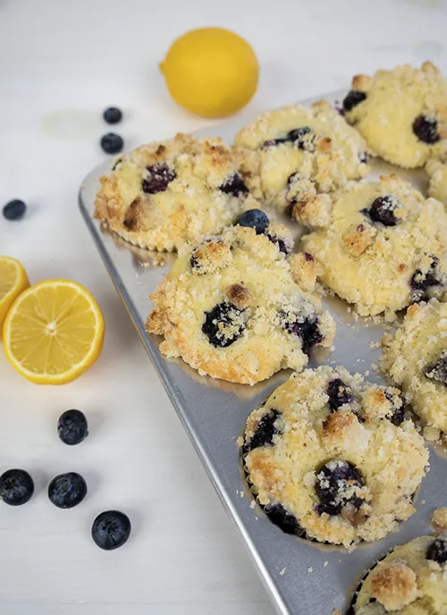 Tray of baked sourdough blueberry lemon muffins, with loose blueberries and a sliced lemon scattered in the background.