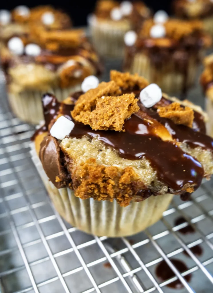 Sourdough banana s'mores muffins decorated with chocolate ganache, graham crumbs, and mini dehydrated marshmallows