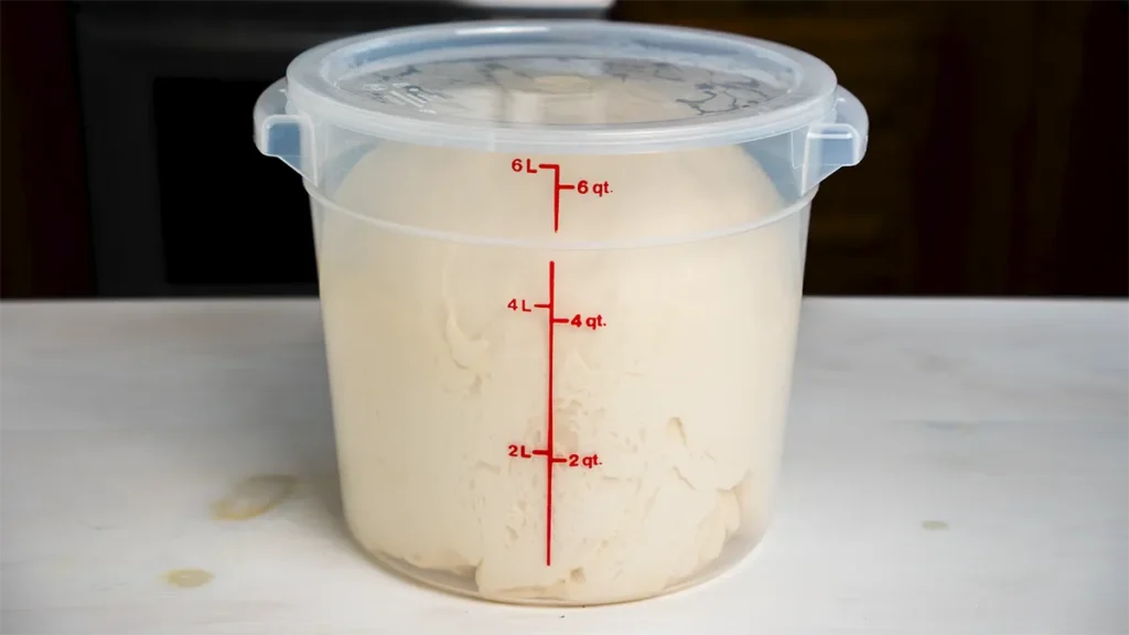 Cambro container holding a batch of dough risen to double its size.
