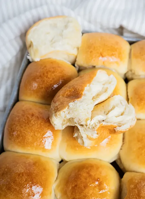 A pan of sourdough Hawaiian rolls. One roll is torn open to show the crumb inside.