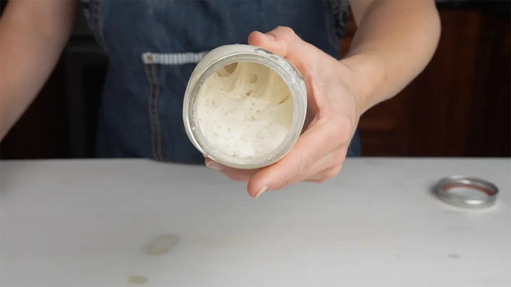 Levain is bubbly and ready to be used in a batch of sourdough Hawaiian rolls.