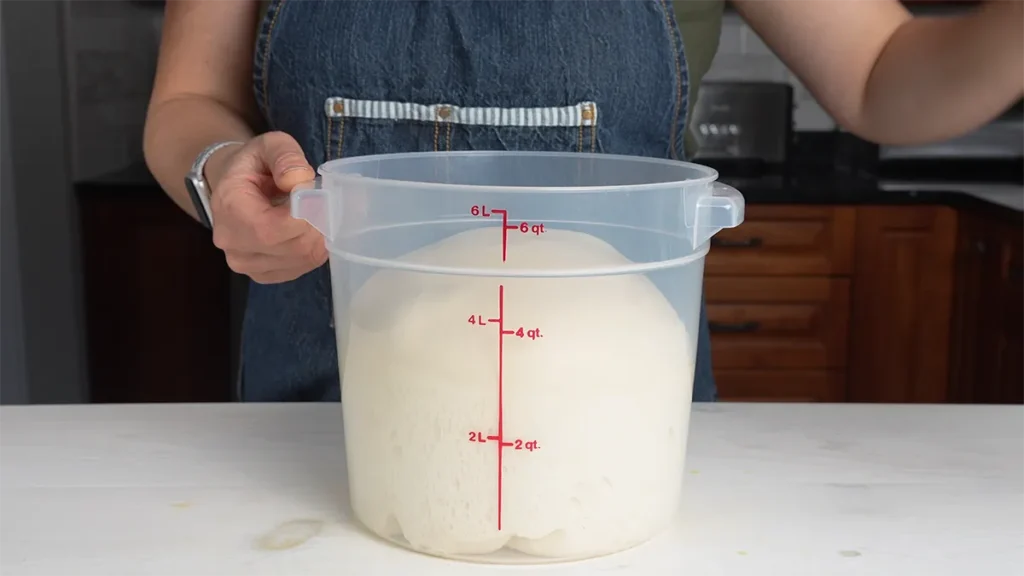 Sourdough Hawaiian roll dough has doubled in size, bulk fermentation is done.